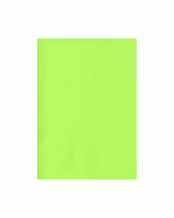 Cover  FP-04 Jeshile Paper Leter me ngjyra 220gr